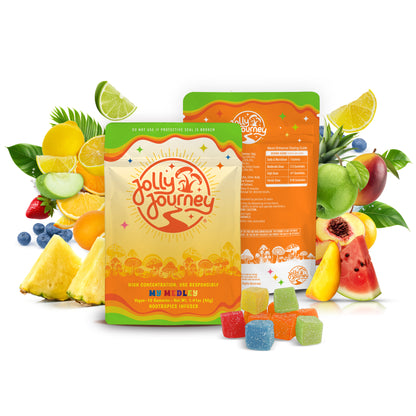 Jolly Journey Starter Pack - Vegan Mushroom Gummies Medley 10ct