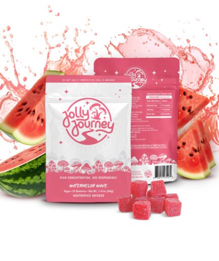 Jolly Journey Watermelon Wave Bag